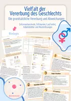 Vorschau - Arbeitsblätter - Vielfalt der Vererbung des Geschlechts - Arbeitsblätter - Deckblatt