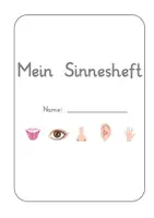 Vorschau - Arbeitsblätter - Mein Sinnesheft mit spannenden Experimenten (Fünf Sinne) - Seite 3