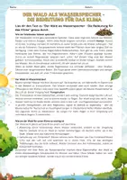 Vorschau - Arbeitsblätter - Der Wald als Wasserspeicher - Die Bedeutung für das Klima - Seite 1
