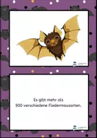 Vorschau - Bildkarten - Fledermaus Bild-Lesetexte - Seite 1