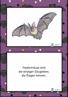 Vorschau - Bildkarten - Fledermaus Bild-Lesetexte - Seite 2