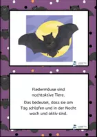 Vorschau - Bildkarten - Fledermaus Bild-Lesetexte - Seite 3