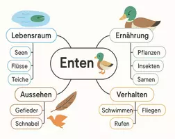 Vorschau - Arbeitsblätter - Arbeitsblätter zum Thema "Enten" + Lösung & MP3 + Mindmap + Infografik - Seite 2
