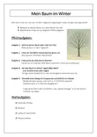 Vorschau - Arbeitsblätter - Mein Baumtagebuch - dein Projekt für ein ganzes Schuljahr! - Seite 3