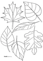 Vorschau - Mal- und Bastelvorlagen - Herbstblätter zum Ausmalen, Gestalten / Herbstdeko / Dekoration Herbstzeit - Seite 3