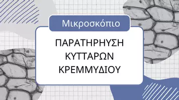 Προεπισκόπηση - Πειράματα - Παρατήρηση κυττάρων κρεμμυδιου στο μικροσκόπιο - Εξώφυλλο