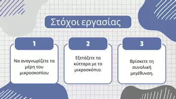 Προεπισκόπηση - Πειράματα - Παρατήρηση κυττάρων κρεμμυδιου στο μικροσκόπιο - Σελίδα 1