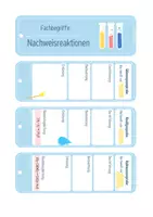 Vorschau - Merkblätter - Nachweisreaktionen / Nachweise in der Chemie - Hilfefächer - Seite 3