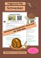 Vorschau - Arbeitsblätter - Fragen zum Film: Schnecken (Anna und der wilde Wald) - Weichtiere - Wald und Boden - Deckblatt