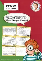 Vorschau - Arbeitsblätter - Biene Sachunterricht Paket | Hummel Wespe Klasse 1-4 - Seite 1