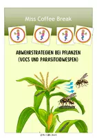 Vorschau - Merkblätter - Abwehrstrategien bei der Maispflanze: VOCs und Parasitoidwespen - Deckblatt