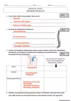 Vorschau - Test - Biologie - Bewegung hält gesund - Kurztest - Seite 3