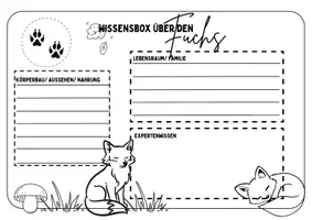 Vorschau - Arbeitsblätter - Wissensbox über Waldbewohner - Seite 1
