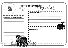 Vorschau - Arbeitsblätter - Wissensbox über Waldbewohner - Seite 2