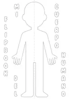 Vista previa - Manualidades / Dibujos para colorear - FLIP BOOK - Cuerpo Humano - Portada