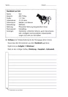 Vorschau - Klassenarbeiten - Tierbeschreibung. Klassenarbeit (Nachschreiber). Eine eigene Tierbeschreibung verfassen - Seite 2