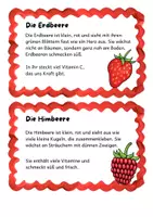 Vorschau - Stationenlernen - Lesekartei buntes Obst - Seite 3