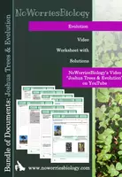 Vorschau - Arbeitsblätter - Evolution - Joshua Trees and Evolution - Deckblatt