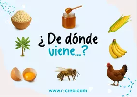 Vista previa - Tarjetas / Manipulativos - ¿de dónde viene los alimentos comemos? - página 1