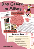 Vorschau - Arbeitsblätter - Materialpaket: 6 Unterrichtsstunden in Neurologie Klasse 9 - Seite 1