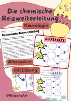 Vorschau - Arbeitsblätter - Neurologie: Die chemische Reizweiterleitung - Deckblatt