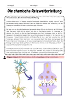 Vorschau - Arbeitsblätter - Neurologie: Die chemische Reizweiterleitung - Seite 1