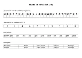 Aperçu - Fiches - Bilans de progrès maternelle PS MS GS (annuel) (synthétique) - Page 3