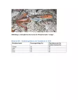 Vorschau - Arbeitsblätter - Klausur: Evolution, Polymorphismus, Selektion - Seite 2