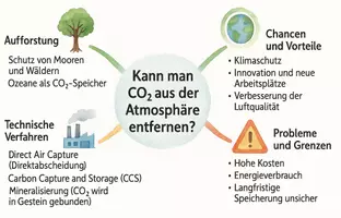 Vorschau - Arbeitsblätter - Arbeitsblätter zum Thema "Kann man CO2 aus der Atmosphäre entfernen?" + Lösung & MP3 + Mindmap + Infografik - Seite 2