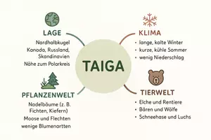 Vorschau - Arbeitsblätter - Arbeitsblatt "Taiga" + Onlineübung & MP3 + Mindmap + Infografik - Seite 2