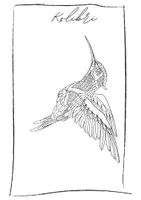 Vorschau - Mal- und Bastelvorlagen - Mandalas - Tiere zum Ausmalen, Vertretungsstunde - Seite 3