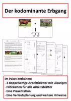 Vorschau - Arbeitsblätter - Der kodominante Erbgang - Genetik (Klasse 9/10) - Deckblatt