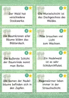 Vorschau - Arbeitsblätter - Waldwissen - 3 Aufgabenformate - Deckblatt