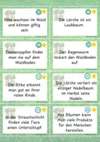 Vorschau - Arbeitsblätter - Waldwissen - 3 Aufgabenformate - Seite 2