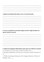 anteprima - Compiti in classe/Test - Esame: Rappresentare graficamente i gironi dell’Inferno secondo la “Divina Commedia” - Pagina 3