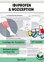 Vorschau - Arbeitsblätter - Ibuprofen und Nozizeption Exogene Substanzen Schmerzlinderung - Deckblatt