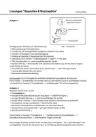 Vorschau - Arbeitsblätter - Ibuprofen und Nozizeption Exogene Substanzen Schmerzlinderung - Seite 2