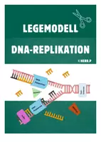 Vorschau - Mal- und Bastelvorlagen - Legemodell DNA-Replikation (Oberstufe) - Deckblatt