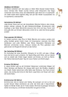 Vorschau - Text - Lese- oder Abschreibtexte zum Thema Herbst - Seite 2
