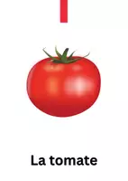 Προεπισκόπηση - Flashcards - Mon super carnet des légumes - Σελίδα 3