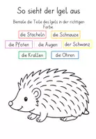 Vorschau - Arbeitsblätter - So sieht der Igel aus - Deckblatt