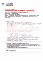 Vorschau - Stundenentwürfe - KOMBI 1 : Personenbeschreibung (Pippi Langstrumpf & Würfel-Spiel) - Seite 3