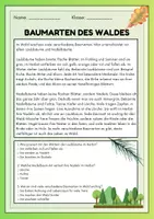Vorschau - Arbeitsblätter - Der Wald - 11 Sachtexte + Fragen - Seite 1
