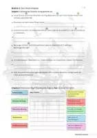 Vorschau - Arbeitsblätter - Sturzhelme - einen Sachtext untersuchen und argumentierend schreiben (dreifach differenziert) - Seite 3