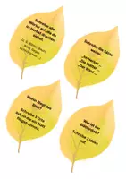 Vorschau - Arbeitsblätter - Blätterdieb Schreibideen Schreibanlässe differenziert Herbst - Deckblatt