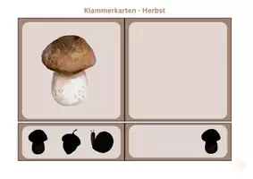 Vorschau - Spiele - Materialpaket Klammerkarten - Seite 1