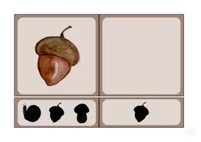 Vorschau - Spiele - Materialpaket Klammerkarten - Seite 2