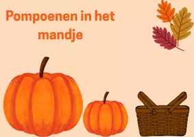 Voorbeeld - Pompoenen in het mandje - Voorblad