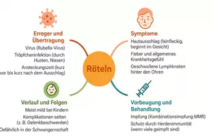 Vorschau - Arbeitsblätter - Arbeitsblatt "Röteln" + Onlineübung & MP3 + Mindmap + Infografik - Seite 2