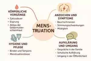 Vorschau - Arbeitsblätter - Lernposter + AB mit Fragen zum Thema "Menstruation" + Lösungsblatt + Mindmap + Infografik - Seite 3